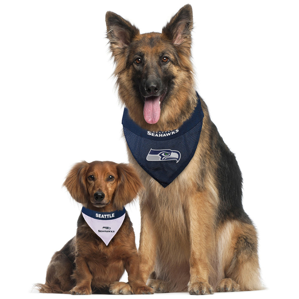 Seattle Seahawks Pet Reversible Bandana