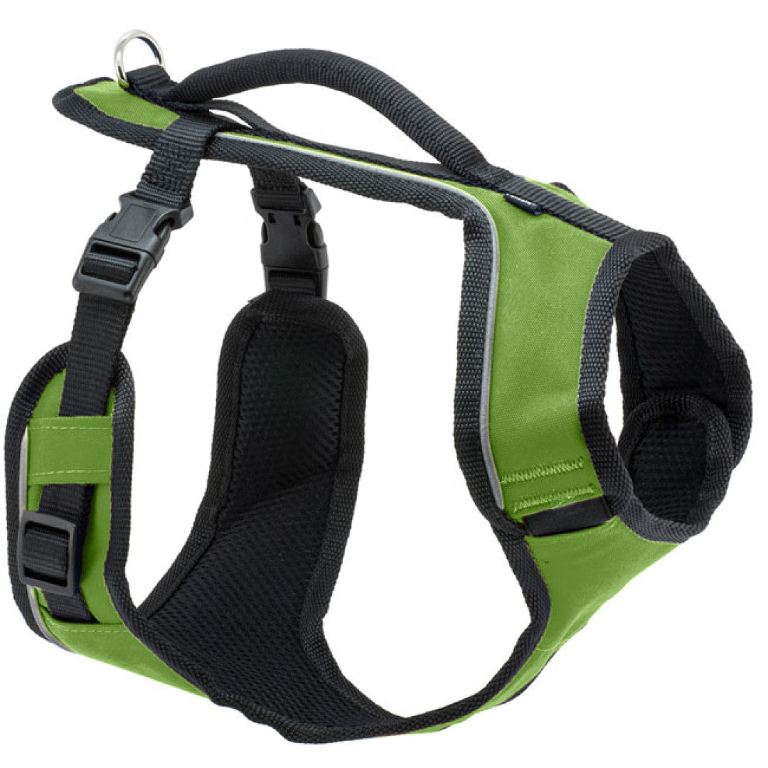 2 Hounds EarthStyle Freedom No-Pull Dog Harness Xs / BFF / with Training Leash