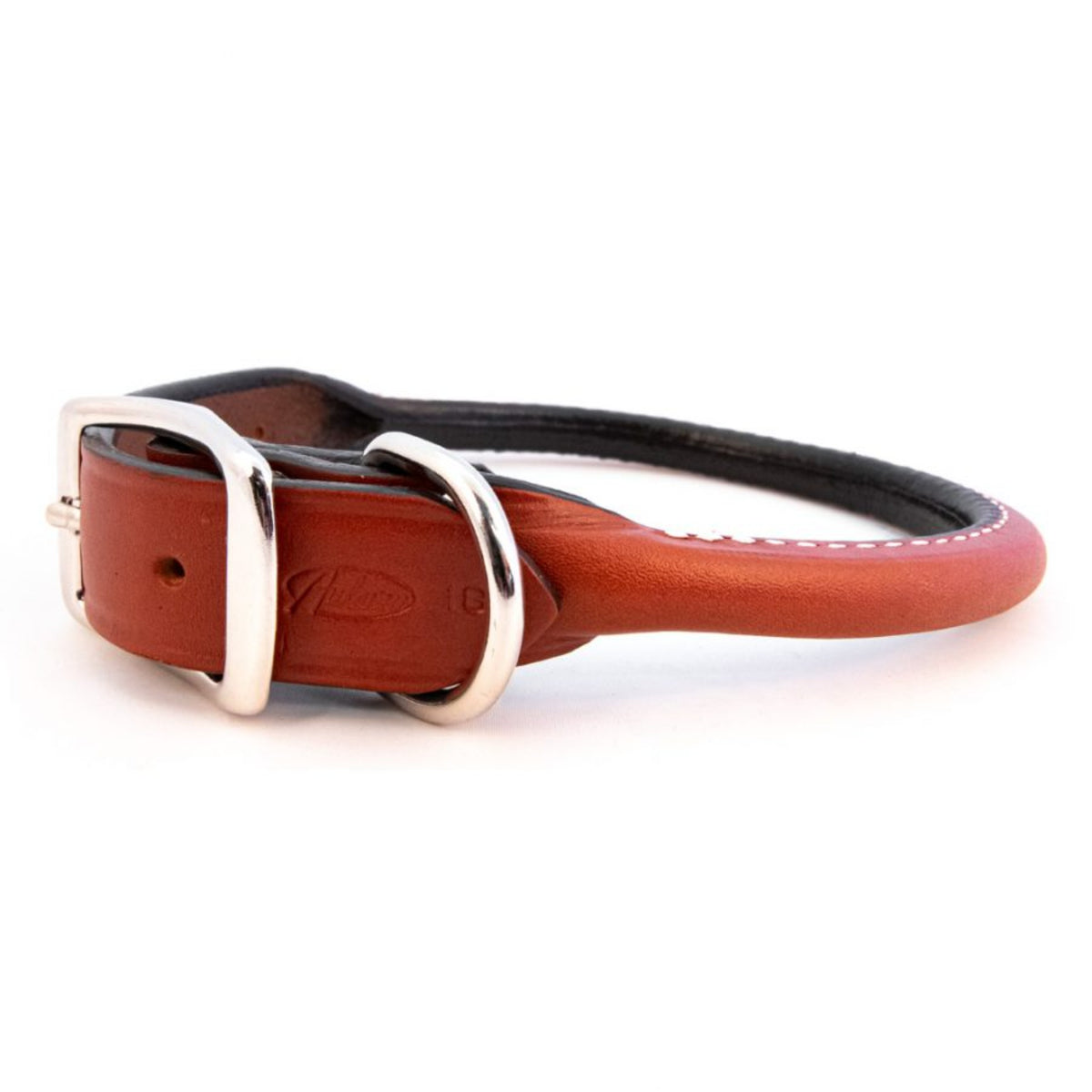 Auburn Leathercrafters Round Combination Dog Collar Color: Tan