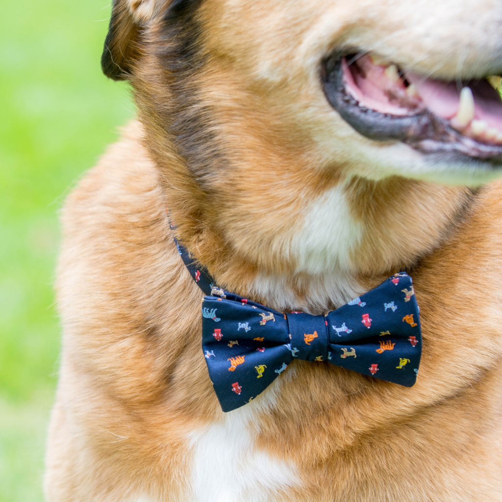 Dog Bandanas & Bow Ties