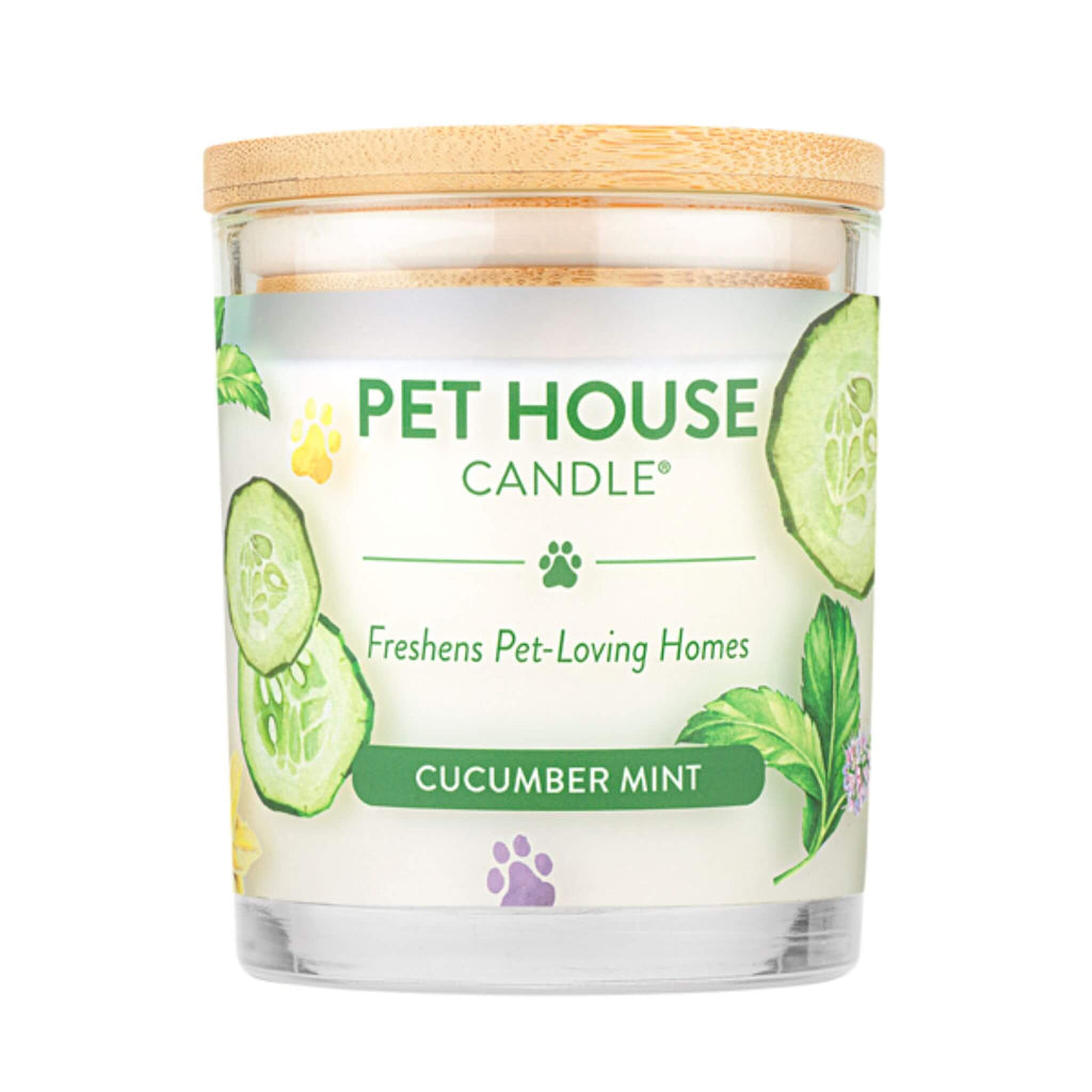 All Fur One Pet House Candle - Cucumber Mint