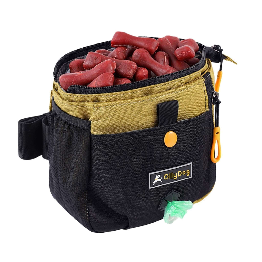 Backcountry Day Bag filled with dog treats