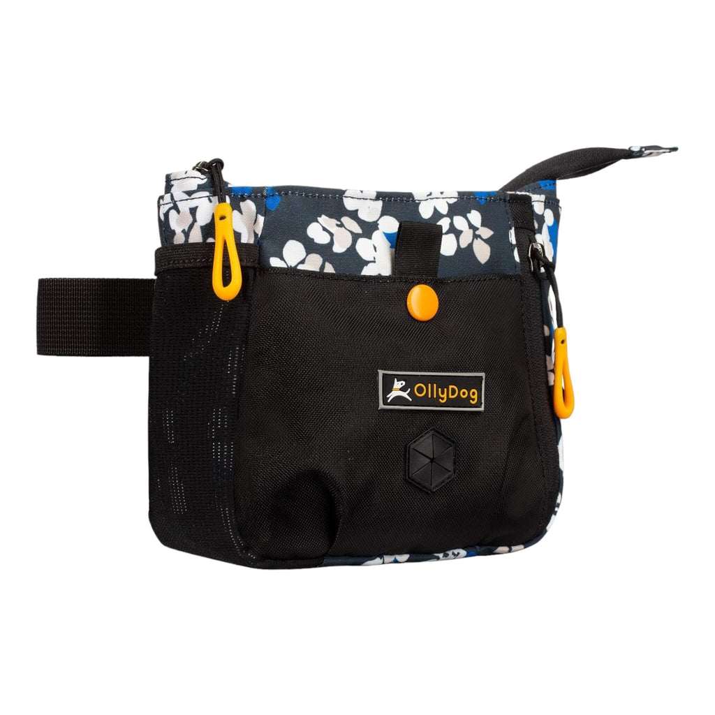 Backcountry Day Bag in Lotus