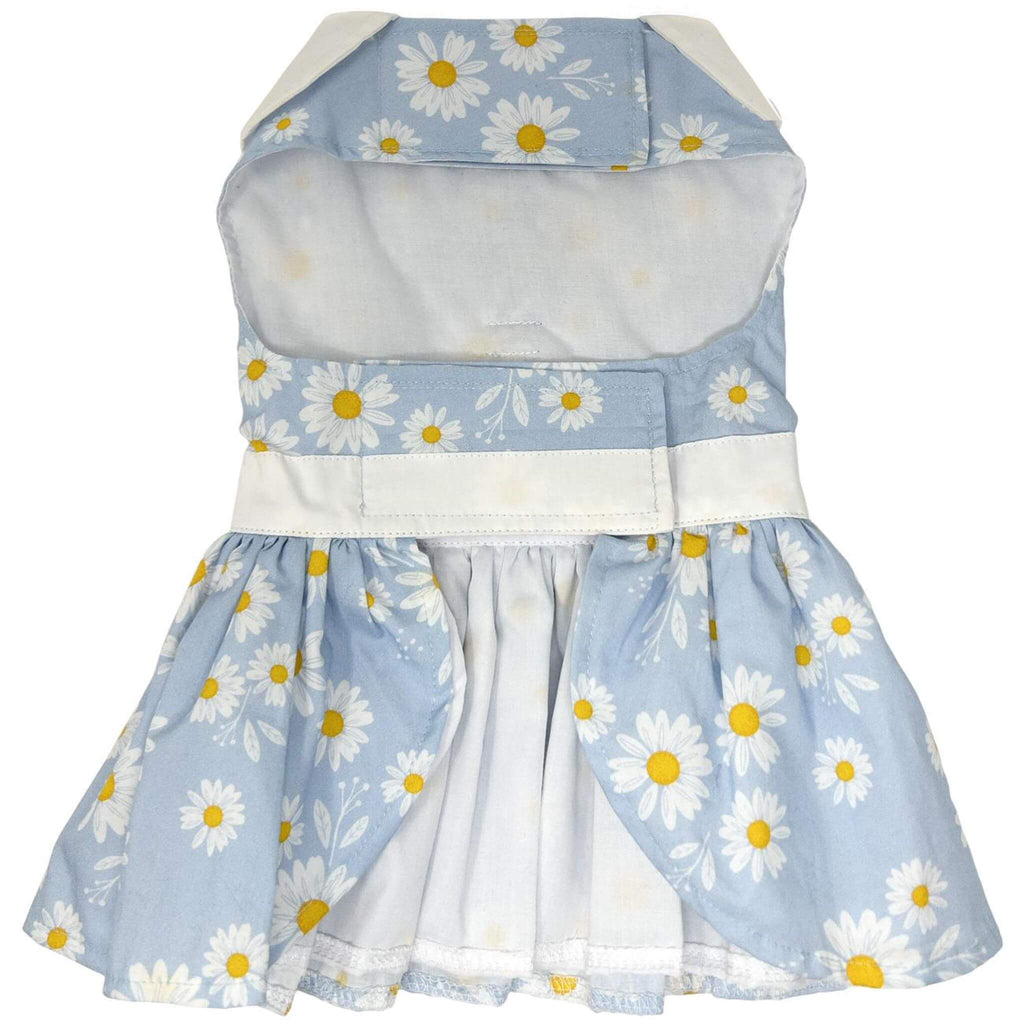 Blue Daisy Dog Dress with Matching Leash - underside view