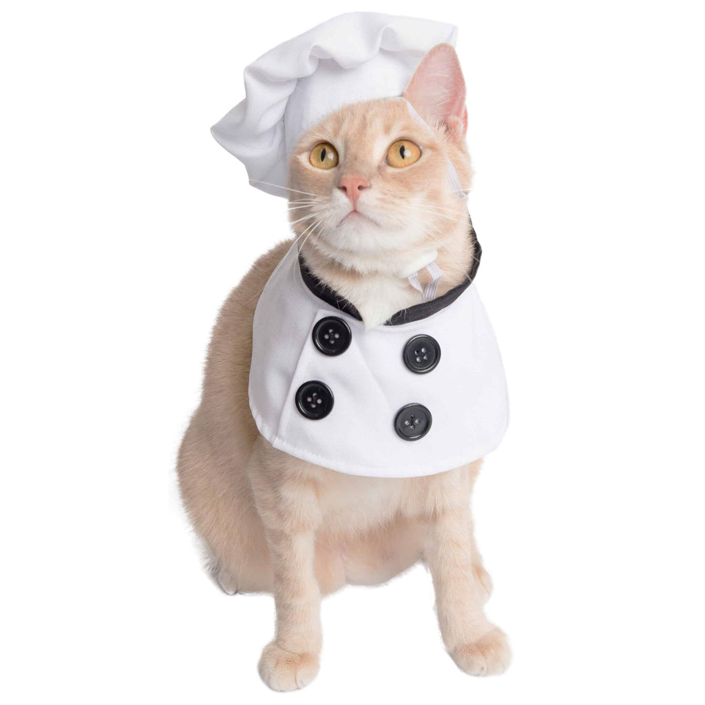 Cat wears Chef Uniform Pet Costume