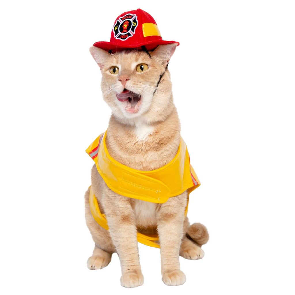 Cat wears Firefighter Pet Costume