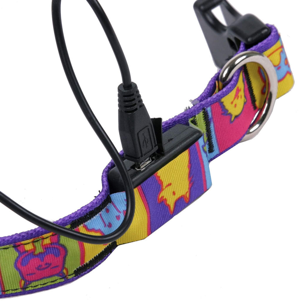 Charging the Yellow Dog Design LED Dog Collar