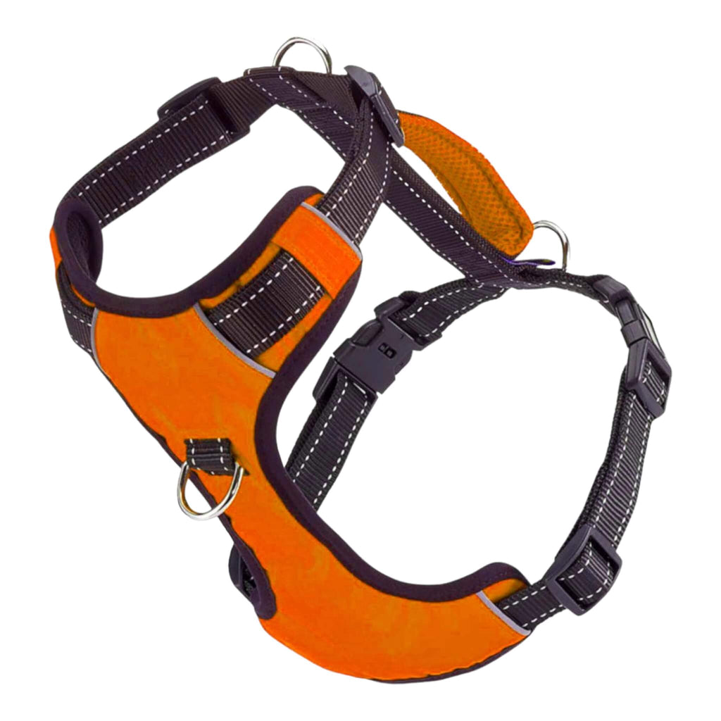 Chesapeake Adventure Dog Harness in Blaze Orange