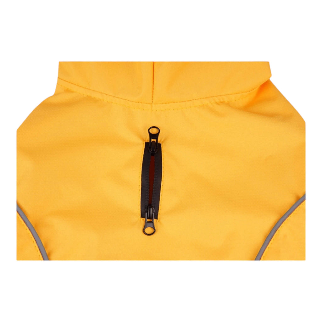 Cumbria Dog Raincoat with hidden zippered buttonhole