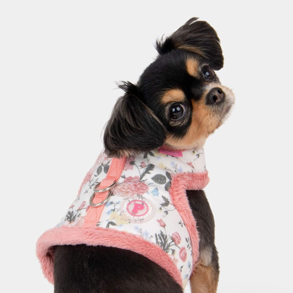 Cute dog models Calla Pinka Dog Harness in Ivory
