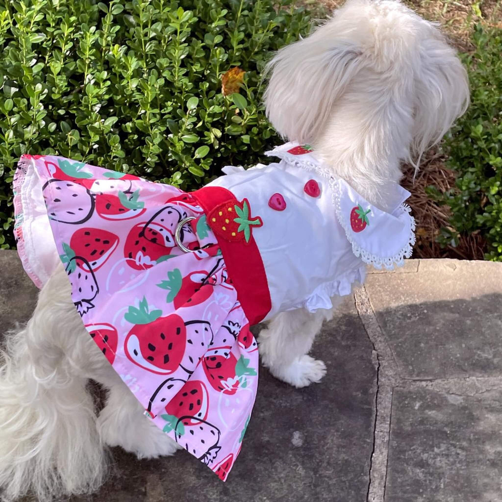 Cute Strawberry Picnic Dog Dress with Matching Leash