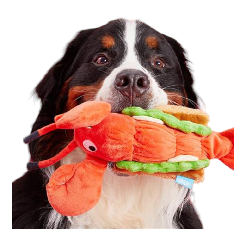 Dog carries Max's Maine Lobster Roll Plush Dog Toy in his mouth