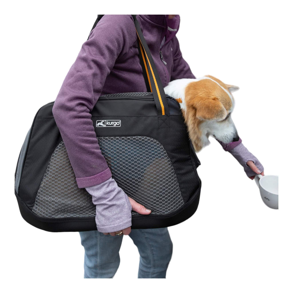 Dog fits nicely into Kurgo Explorer Dog Carrier in Black