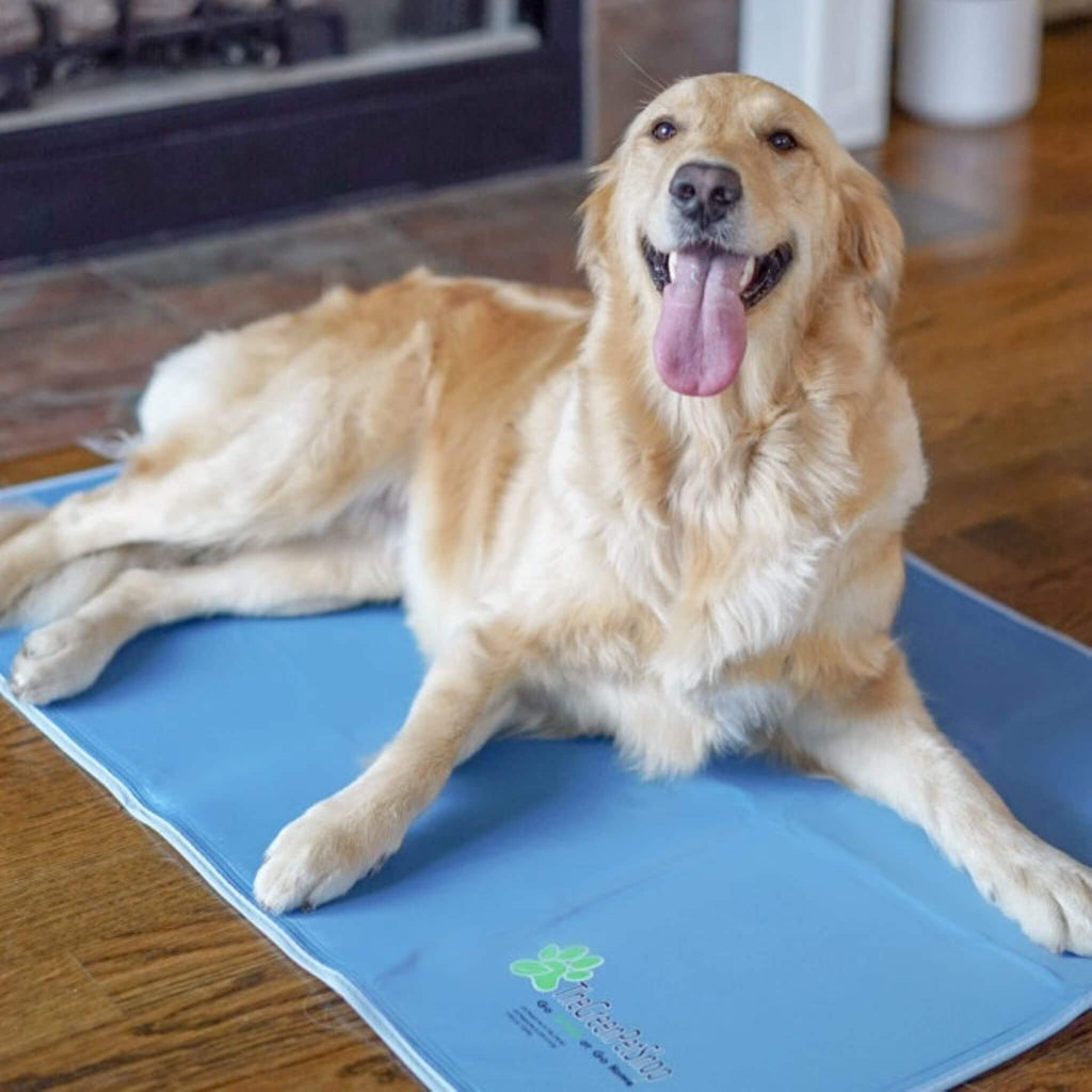 Dog keeps cool on his Cool Pet Pad