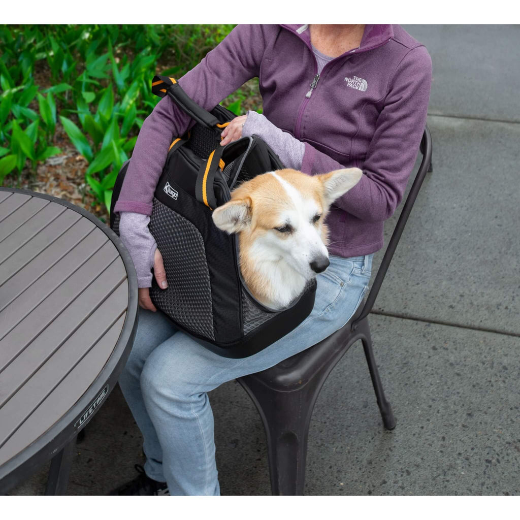 Dog lies in Kurgo Explorer Dog Carrier