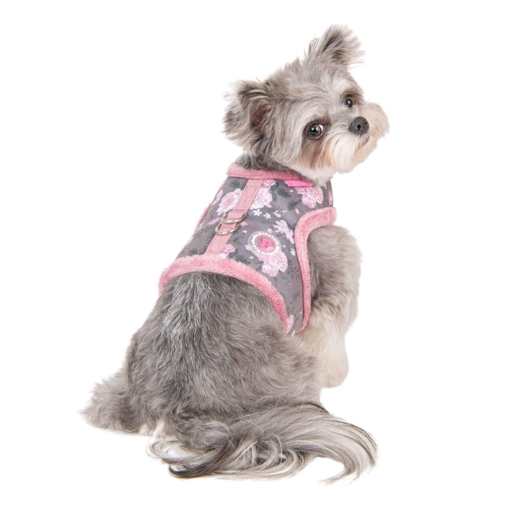 Dog models Calla Pinka Dog Harness in Grey