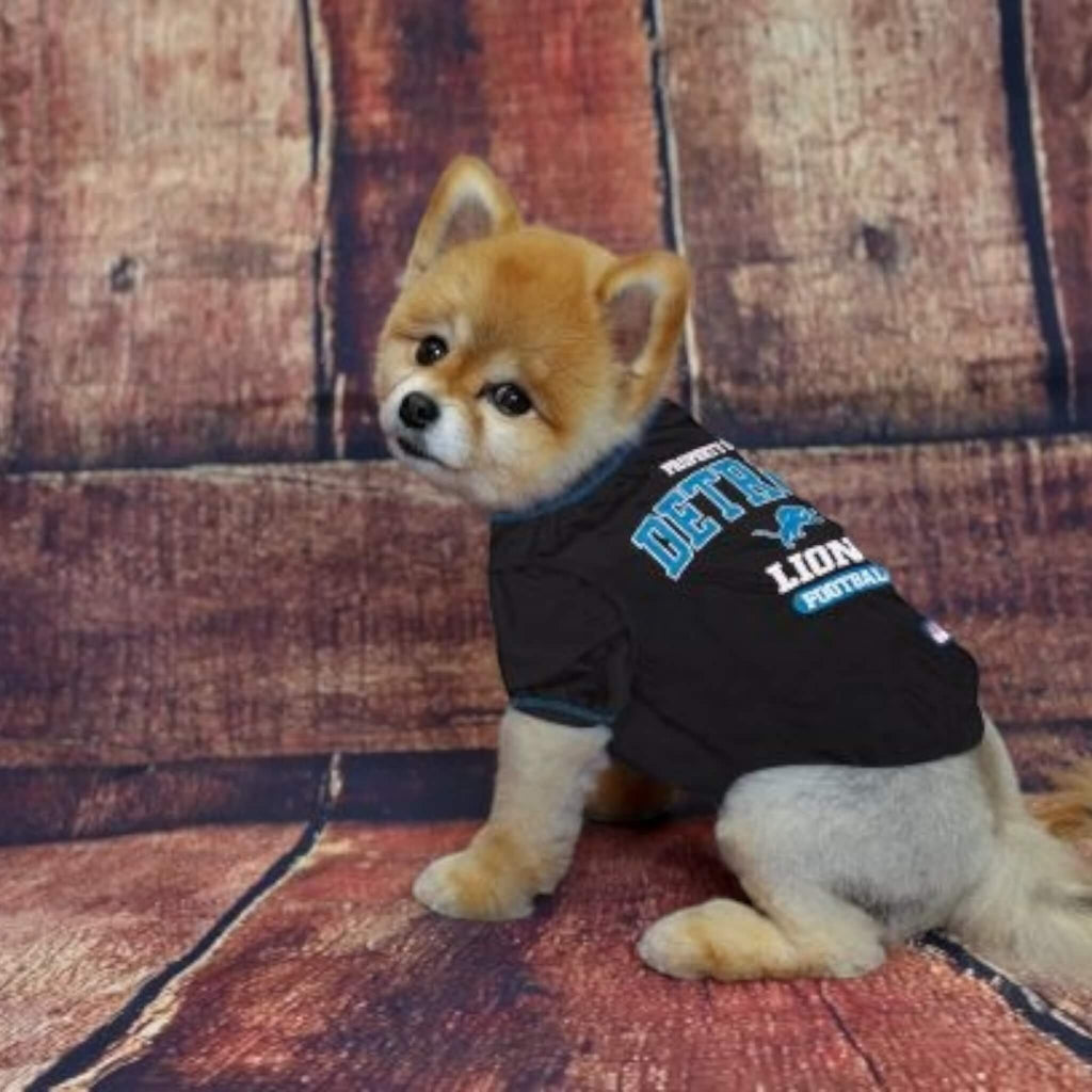 Dog models NFL Detroit Lions Dog T-Shirt