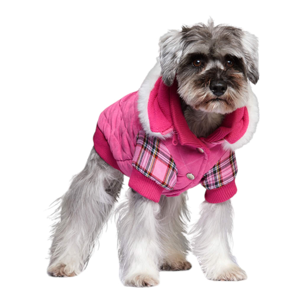 Dog models Highland Lady Quilted Tartan Dog Coat