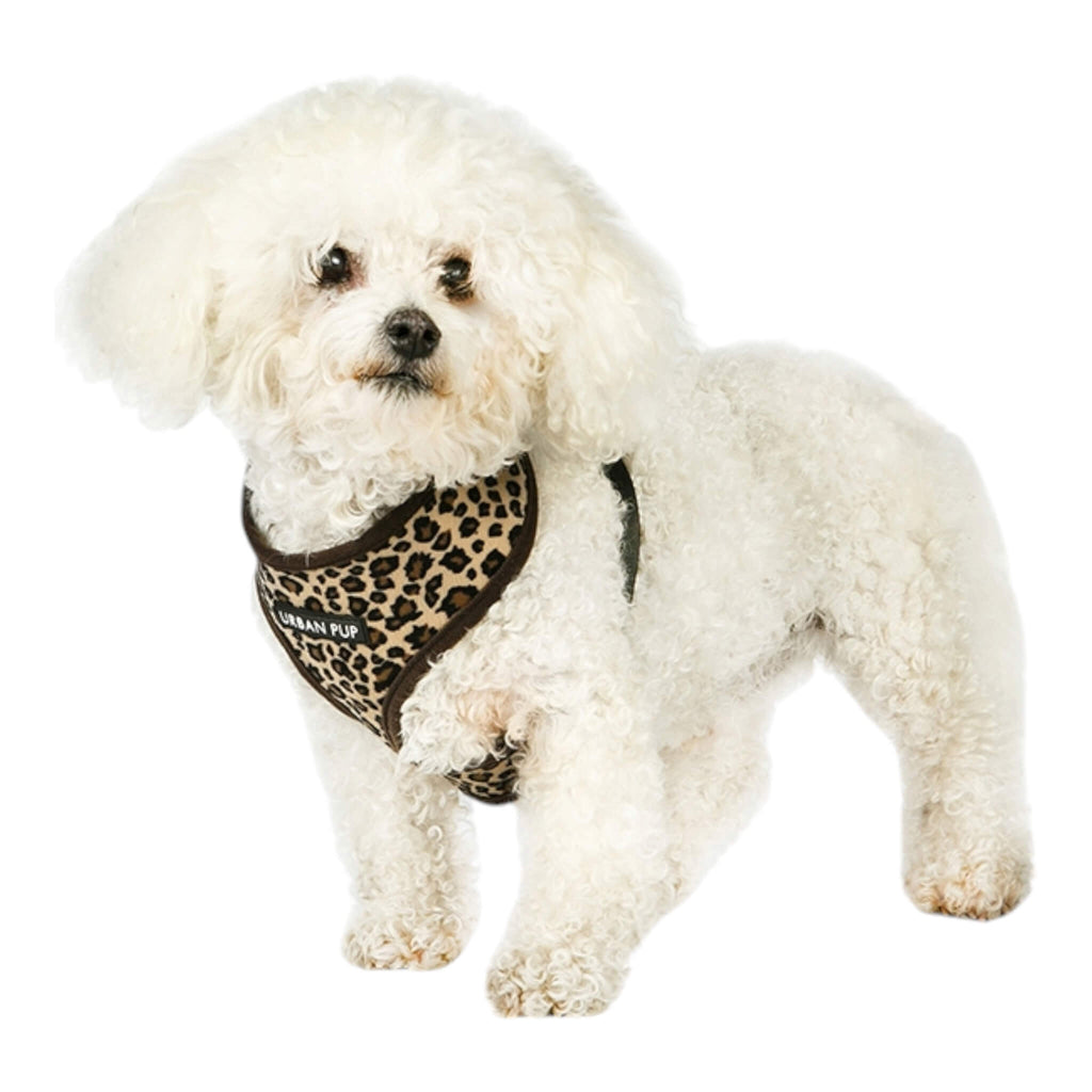 Dog models Leopard Print Dog Harness