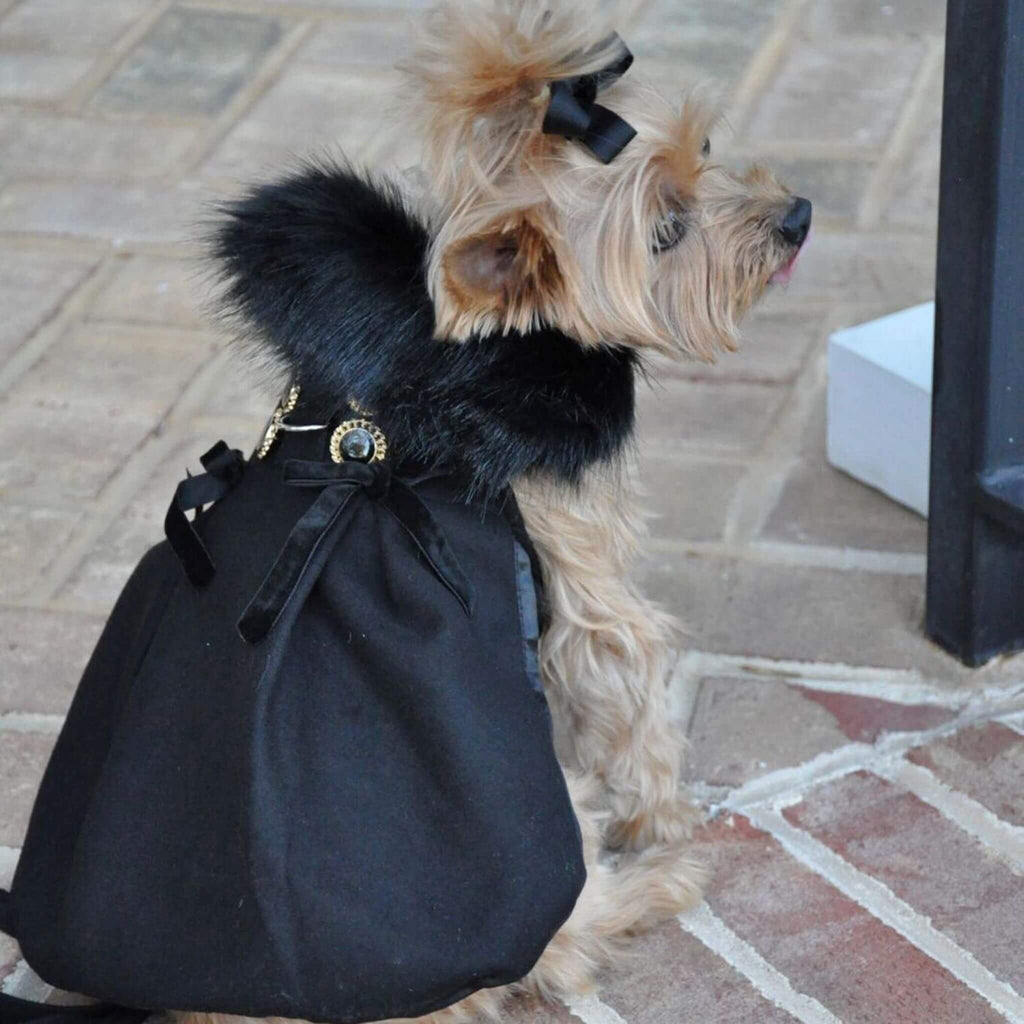 Dog models luxurious Wool Fur-Trimmed Dog Harness Coat in Black