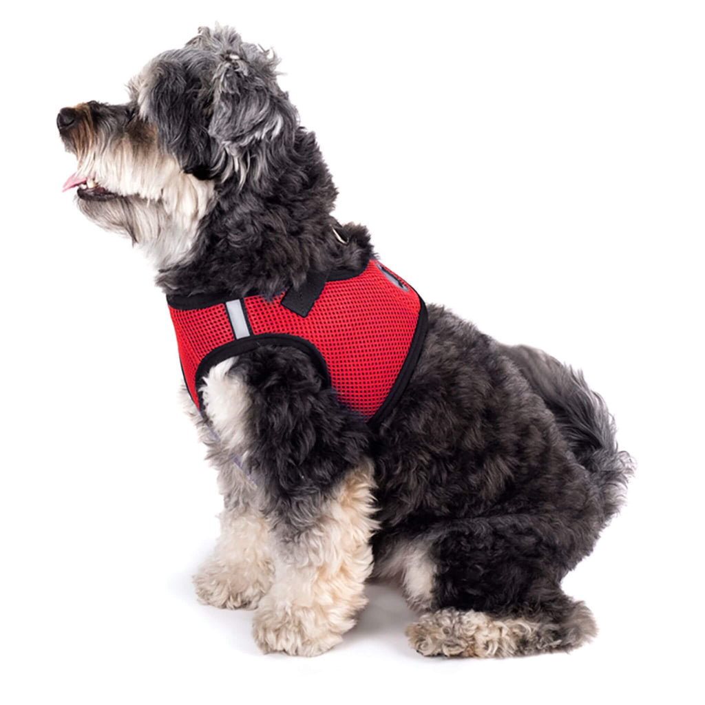 Dog models Red Sidekick Dog Harness