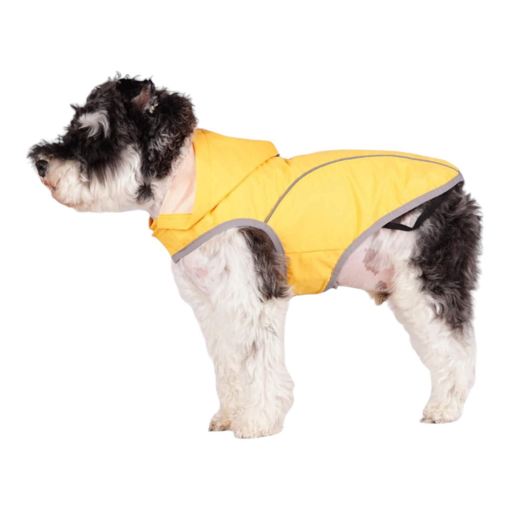 Dog models the Cumbria Dog Raincoat