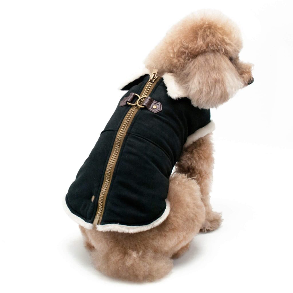 Dog models the Furry Runner Dog Coat in Black