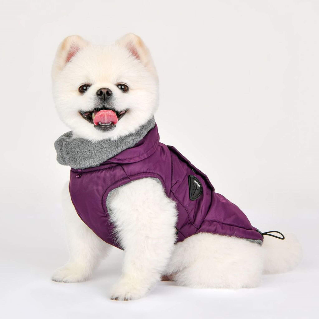 Dog models Tomas Winter Fleece Dog Coat with Integrated Harness in Purple