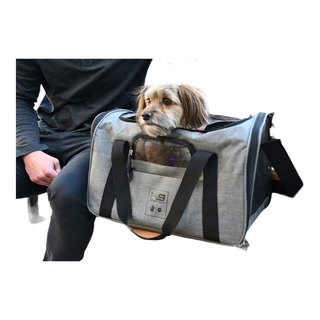 Dog peeps out from the K9 Karry-On TSA Approved Pet Carrier