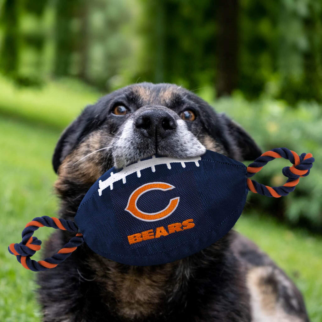 Dog plays happily with his NFL Chicago Bears Nylon Football Dog Toy