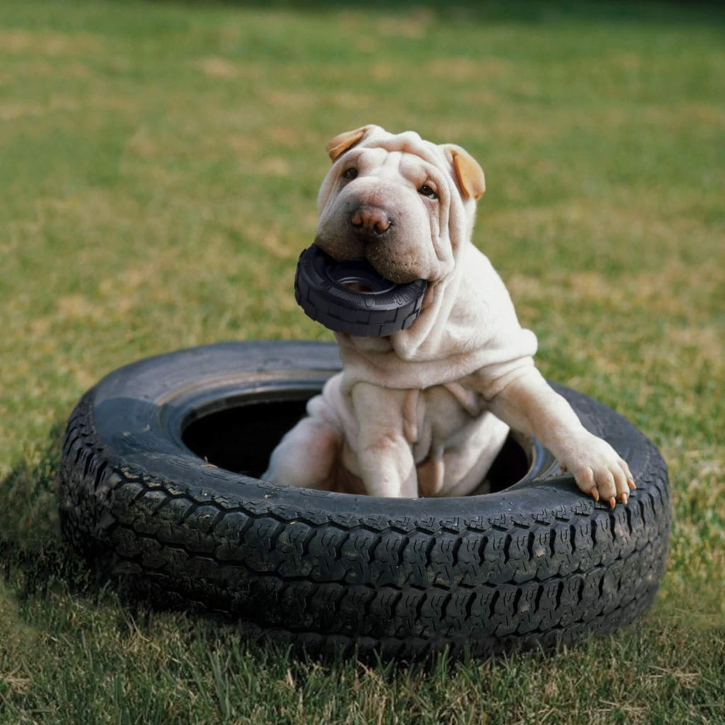 Dog plays in a tire with the KONG Extreme Tire Dog Chew Toy