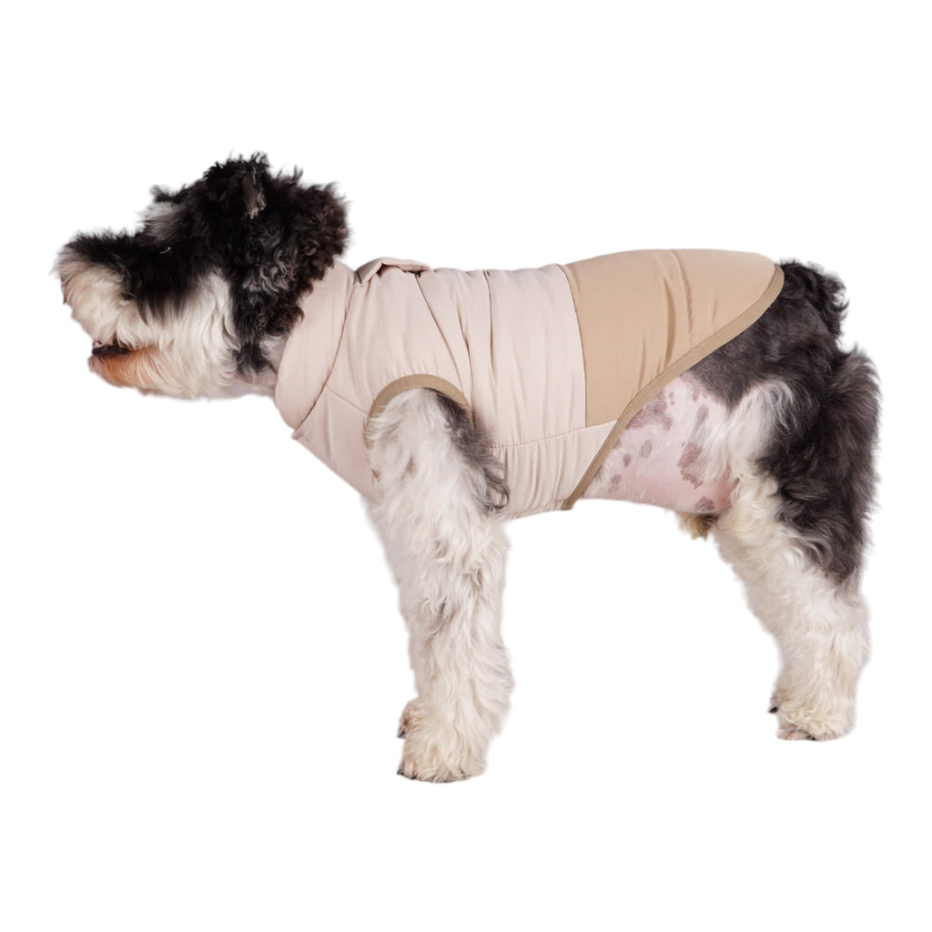 Dog shows off the Durham Dog Coat - side view