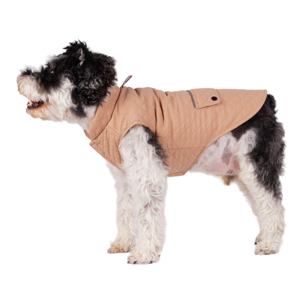 Dog shows off the Somerset Retro Quilted Dog Coat