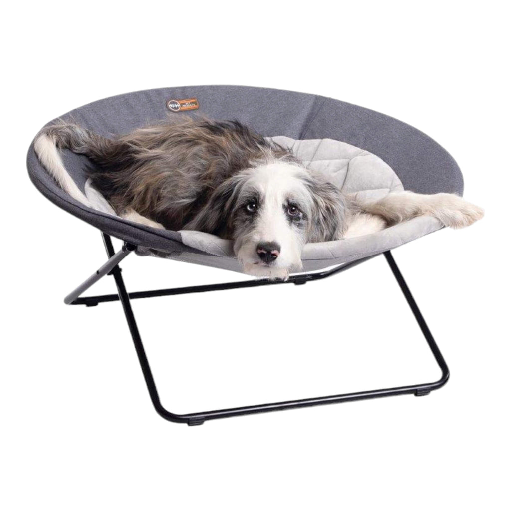 Dog snuggles on Elevated Cozy Pet Cot