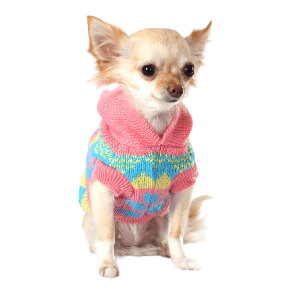 Dog wears Alpine Hooded Dog Sweater