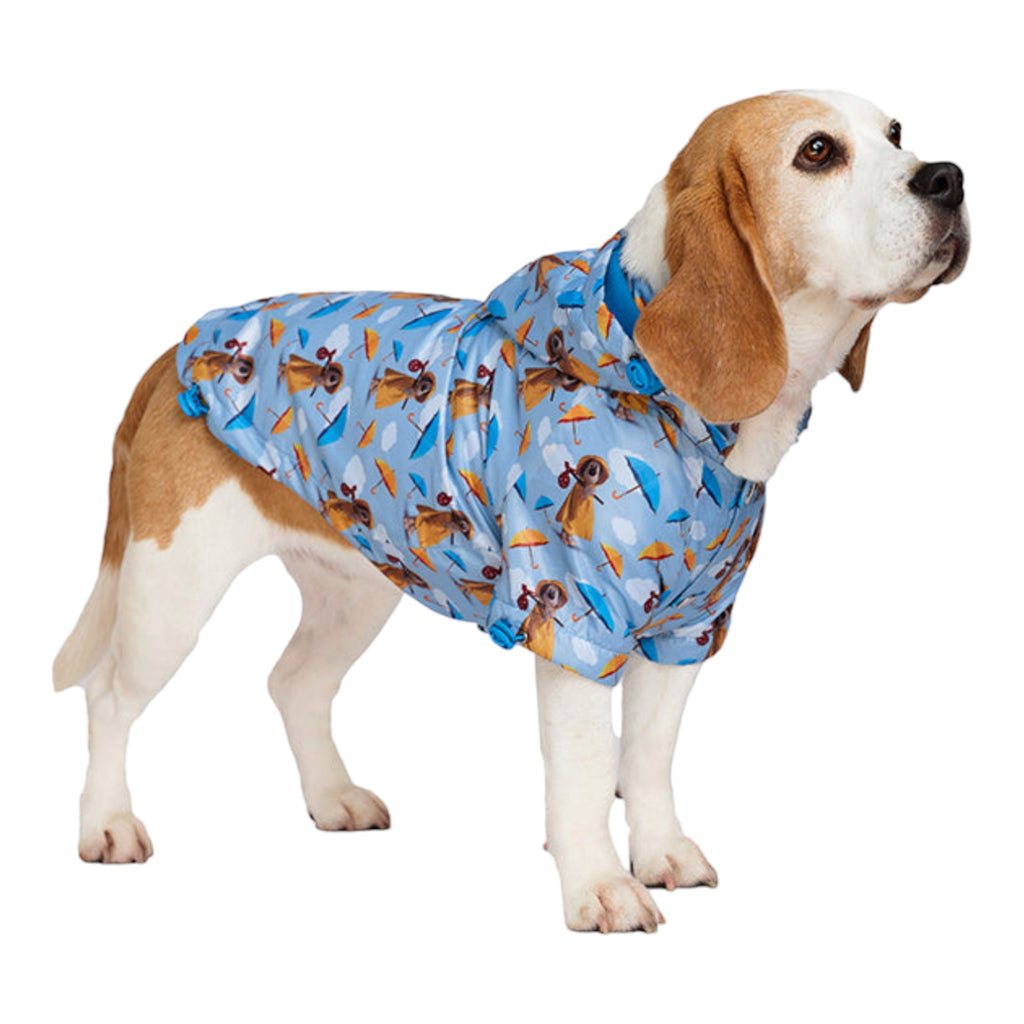 Dog wears Gromit's Dog Raincoat