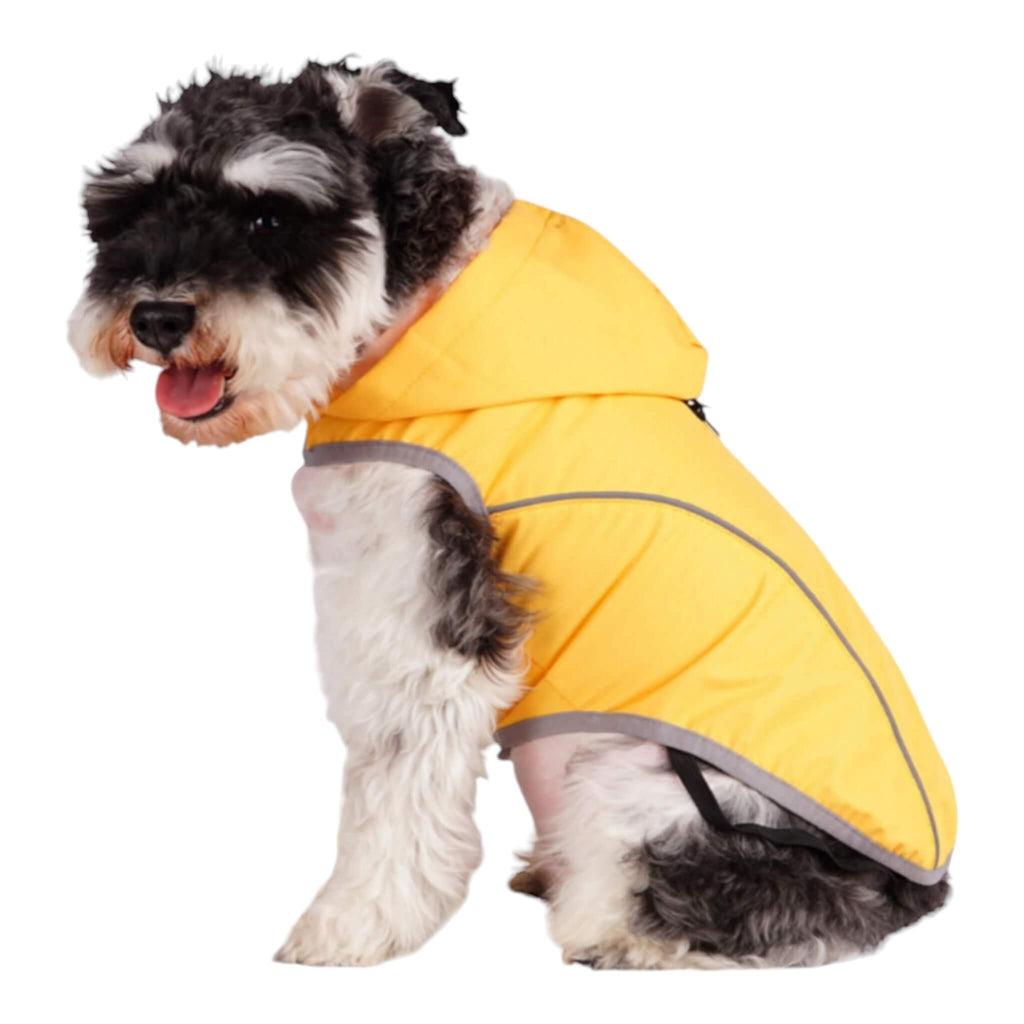 Dog wears medium-sized Cumbria Dog Raincoat