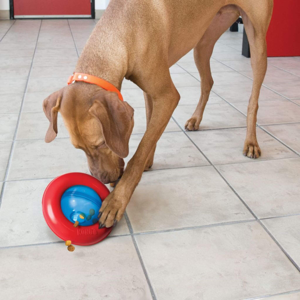 Dogs love the Gyro Treat Dispensing Dog Toy