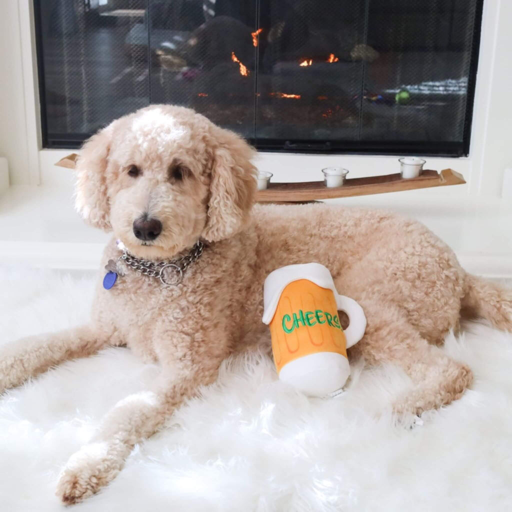 Doodle poses with his Cheers Mug Plush Dog Toy