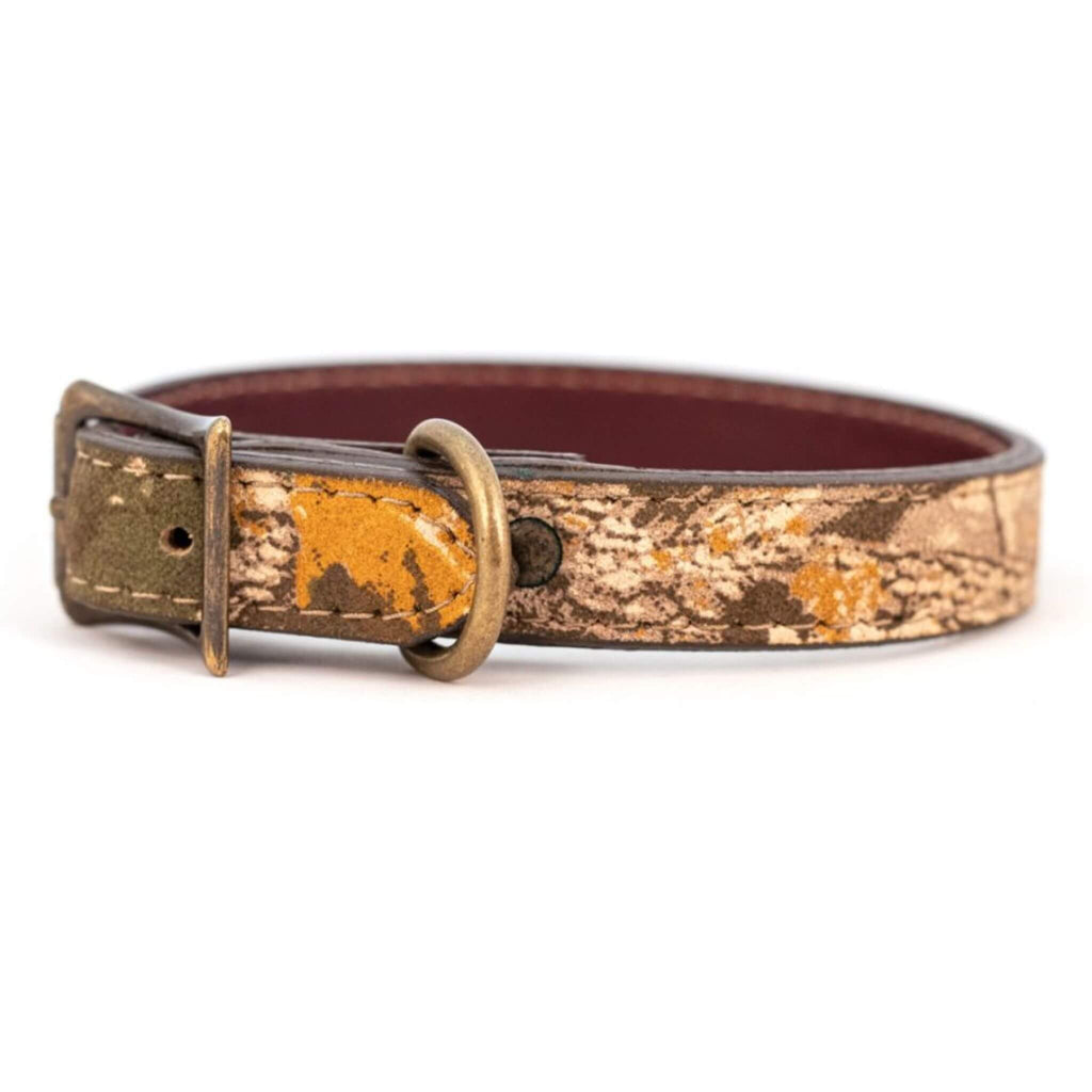 Buckle Dog Collar - Earth Camouflage