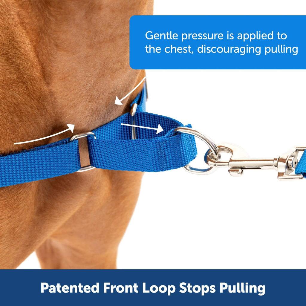 Easy Walk Dog Harness features-a-patented-front-loop-designed-to-stop-pulling