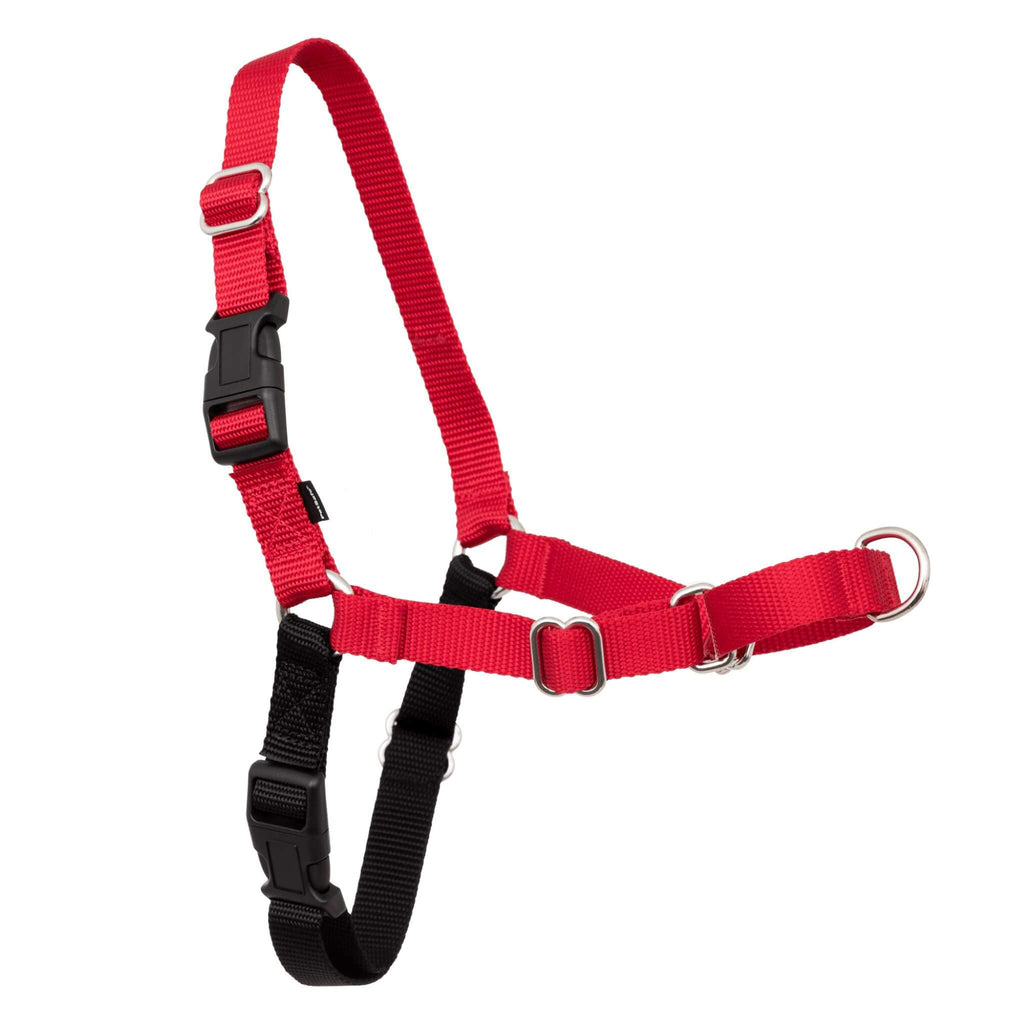 Easy Walk Dog Harness in Red and Black