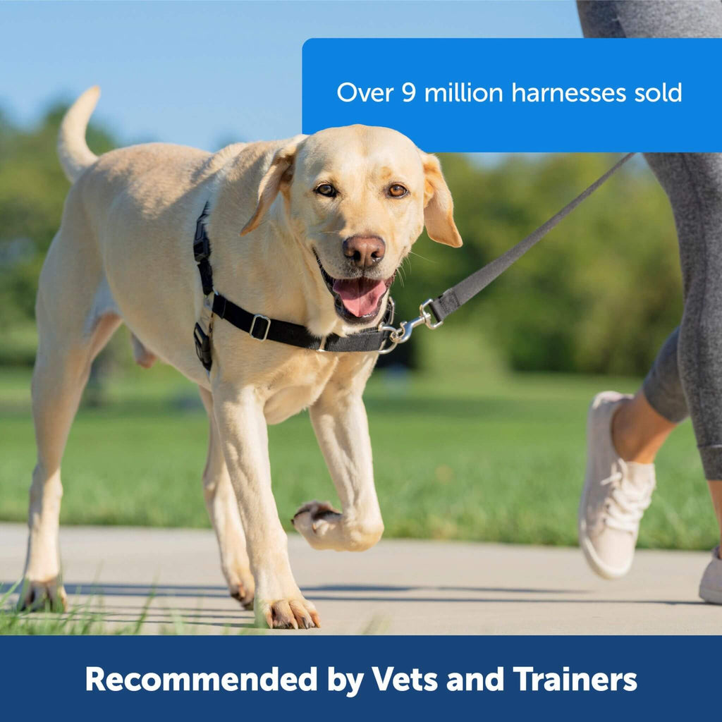 Easy Walk Dog Harness-is-recommended-by-vets-and-trainers