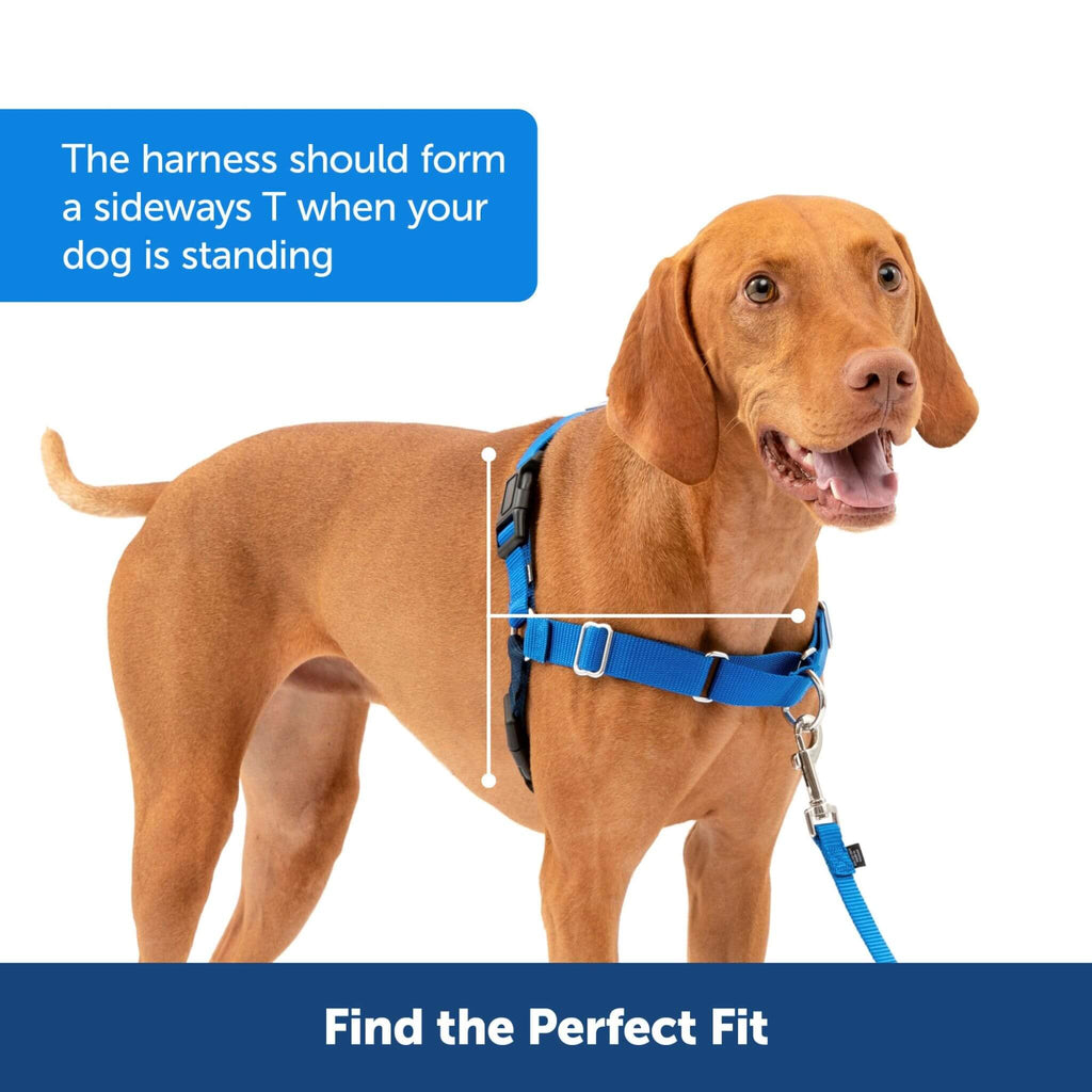 Easy Walk Dog Harness makes it easy to achieve a perfect fit