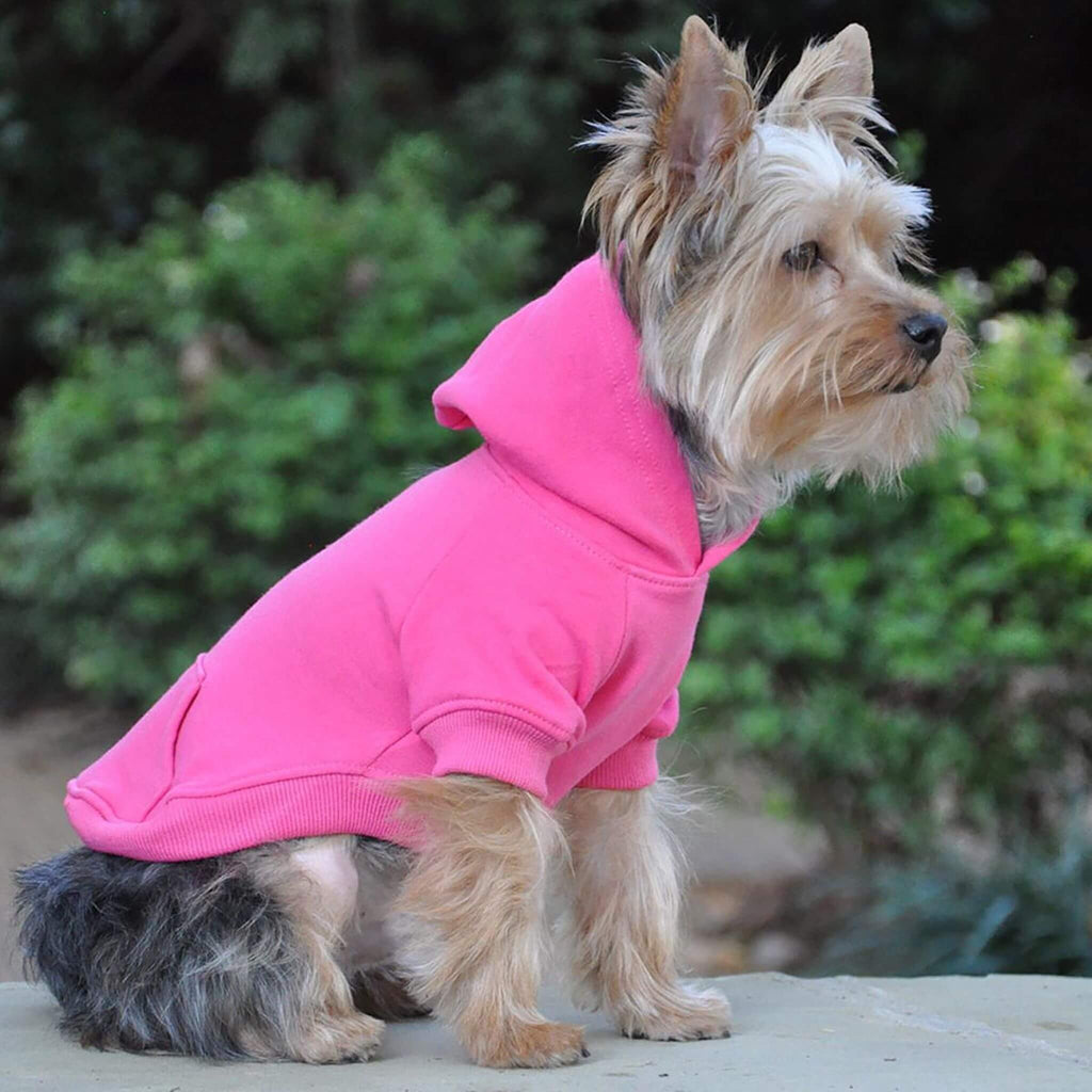 Yorkie models Doggie Design's Flex-Fit Dog Hoodie in Pink