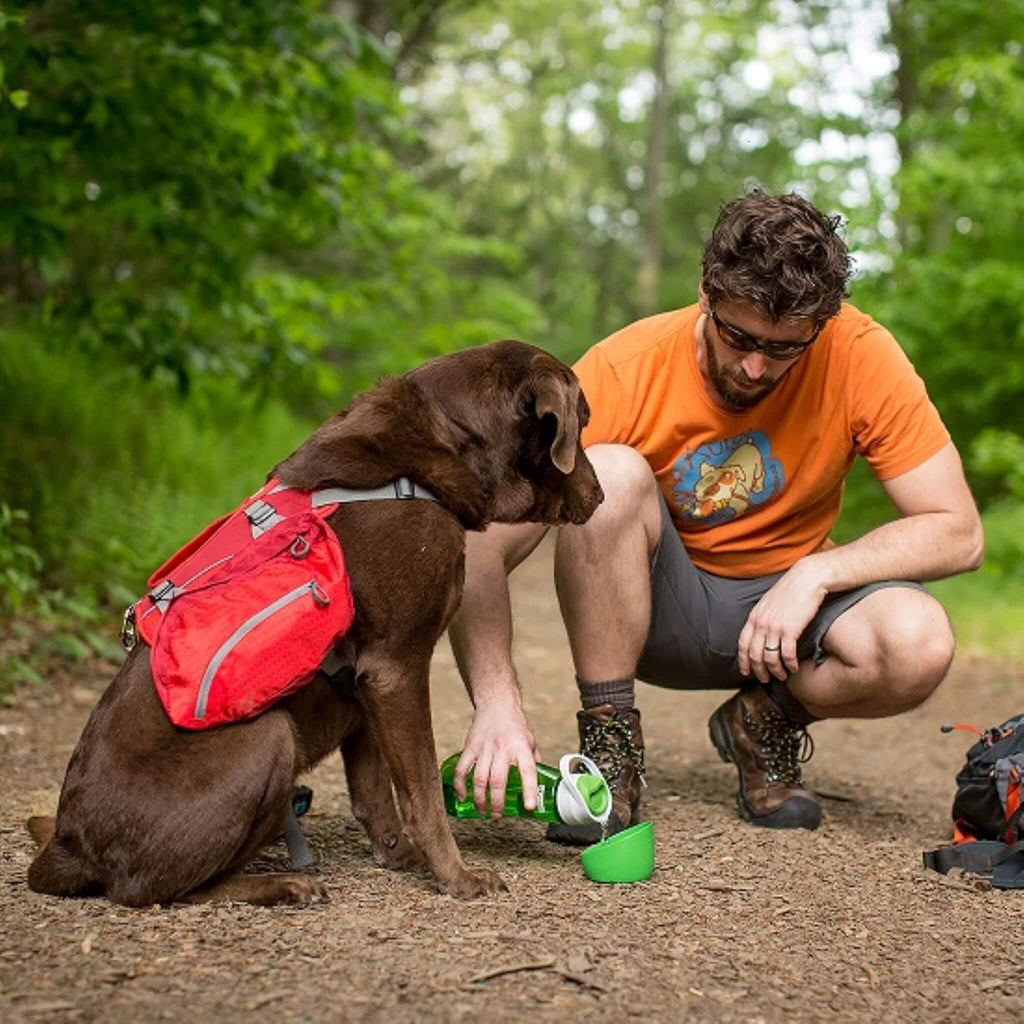 Gourd H2O Grass Green Pet Water Bottle and Bowl in action