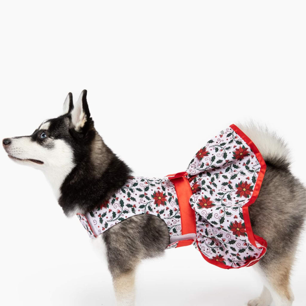 Husky models Holiday Dog Harness Dress - Holly