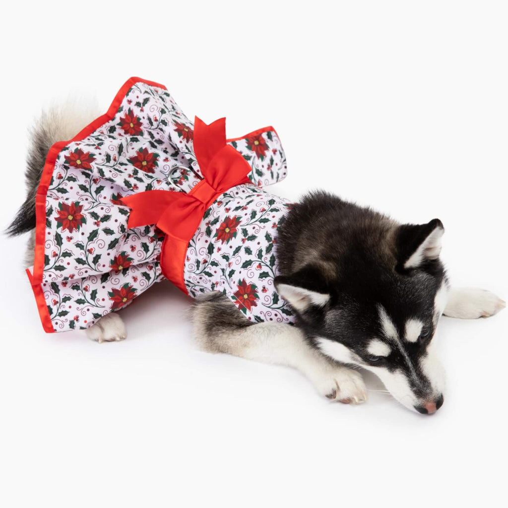 Husky pup models Holiday Dog Harness Dress - Holly