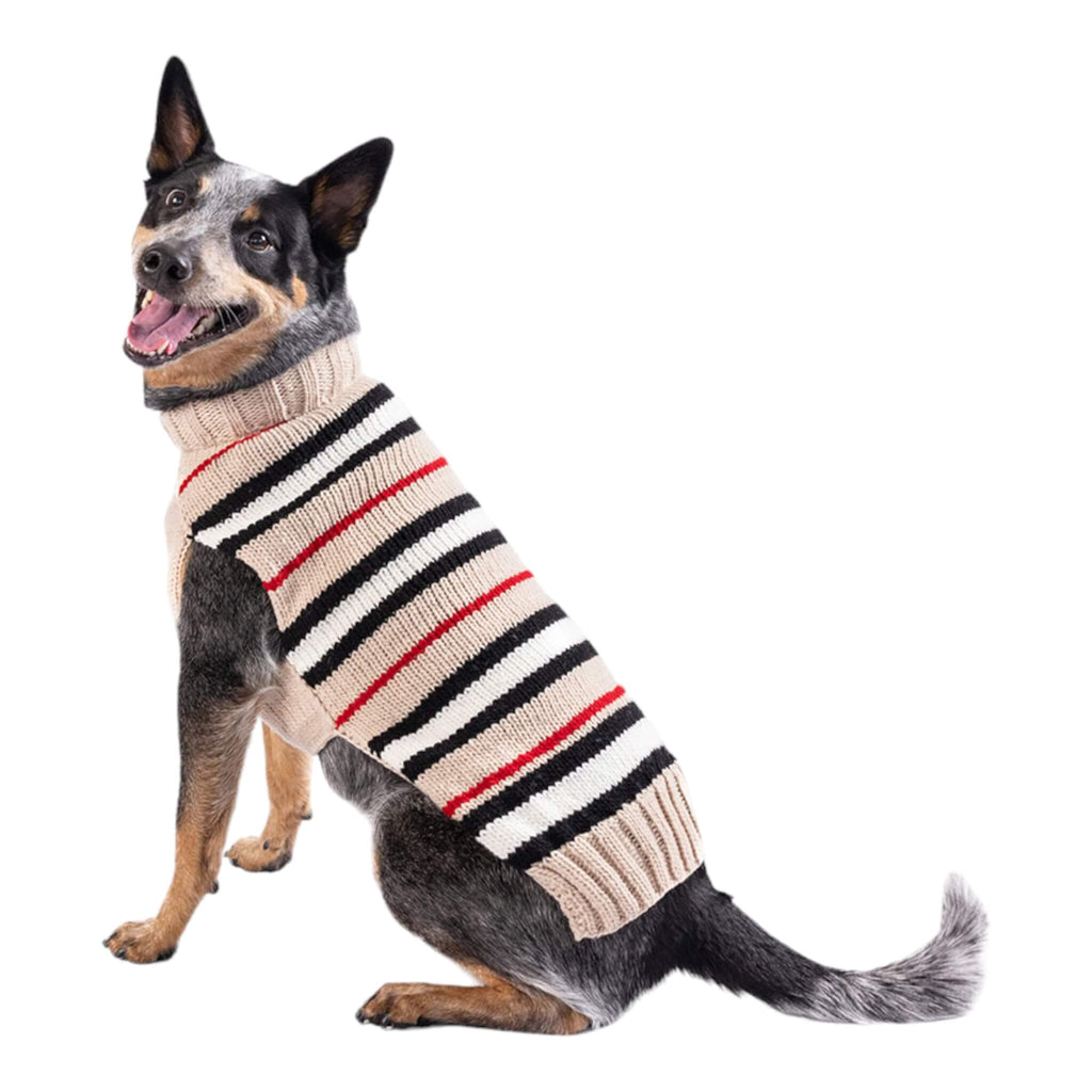 Large Breed Dog models Alpaca Bentley Stripe Dog Sweater