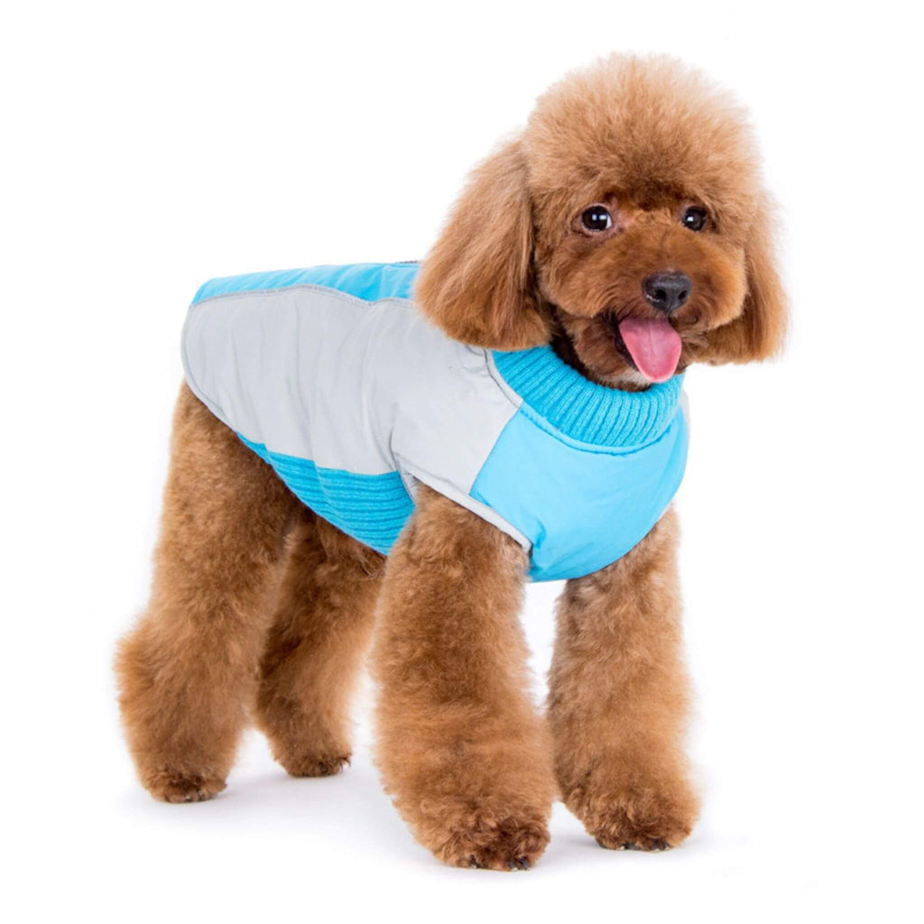 Mountain Hiker Dog Coat is stylish and practical